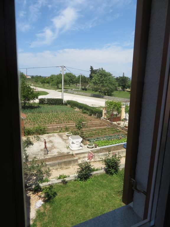 Filipovic Apartments With Pool بيوغْغاد نا موغو المظهر الخارجي الصورة